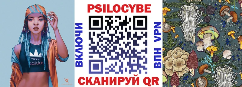 как найти наркотики  Звенигово  Псилоцибиновые грибы Psilocybe 