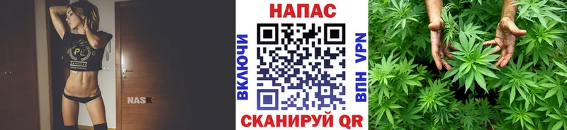 Бошки Шишки сатива Звенигово