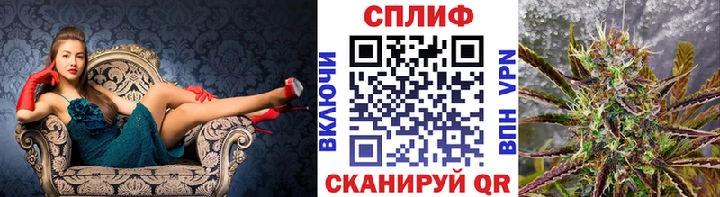 Марихуана сатива  Звенигово 
